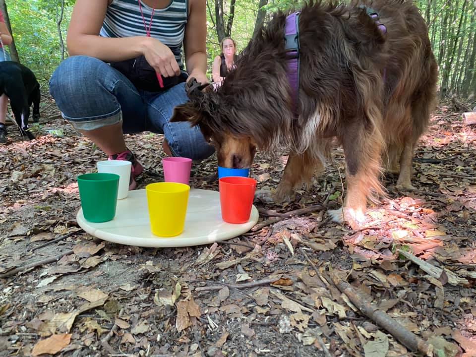 Beschäftigung & Quality Time mit deinem Hund